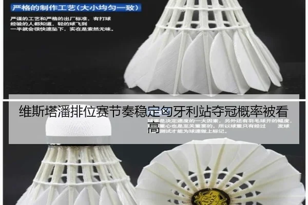 维斯塔潘排位赛节奏稳定匈牙利站夺冠概率被看高（STARSPORTS）
